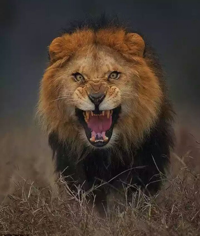 PC: ATIF SAEED, LAHORE