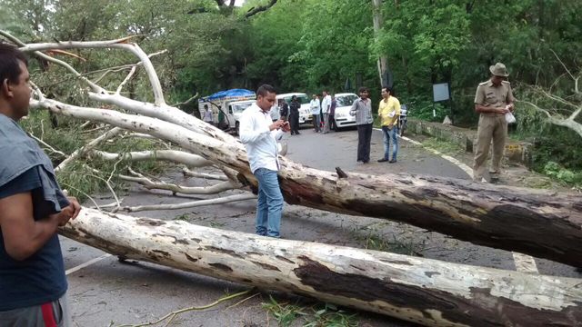 Still the roads are blocked with fallen trees