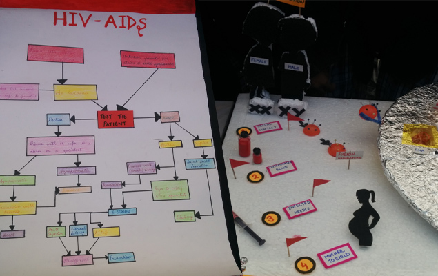 Sexual contacts and Flow chart