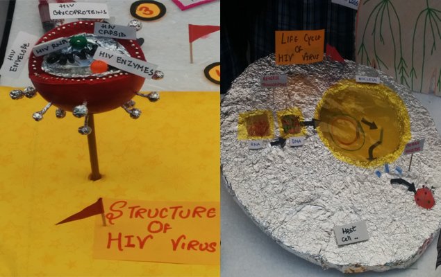 Structure of HIV virus
