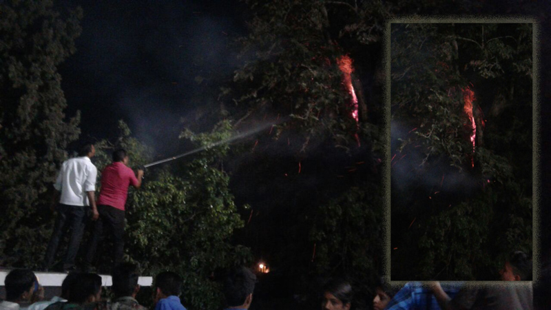 फिर लगी आग, इसबार जंगल नहीं देलवाडा जैन मंदिर के निकट एक पेड़ में लगी आग: माउंट आबू