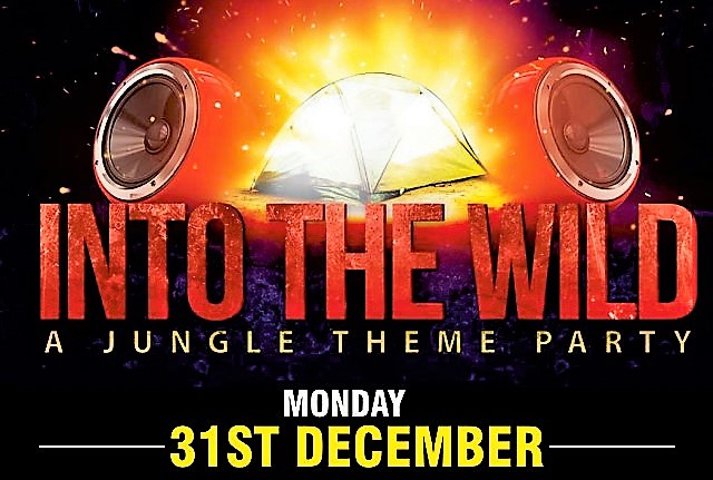 New Year 2019 Party into the Wild Again @ Thrill Zone Adventure Park, Mount Abu